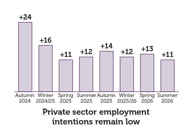 private sector employment intentions